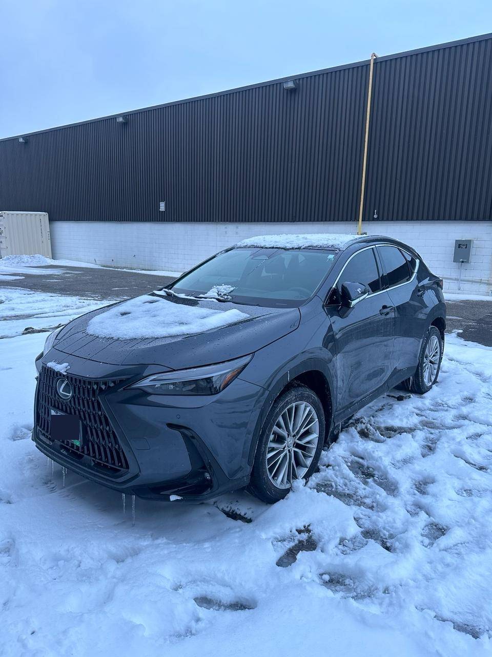 Lexus Lease Takeover in Windsor, On 2024 Lexus NX350h CVT AWD ID